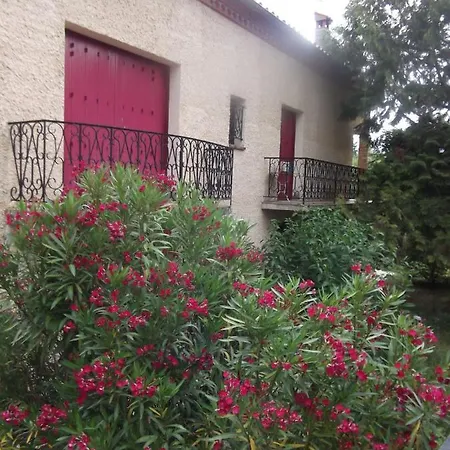 Villa Jardin Thermal: Cozy Apartment near Vernet-les-Bains Spa Exterior photo