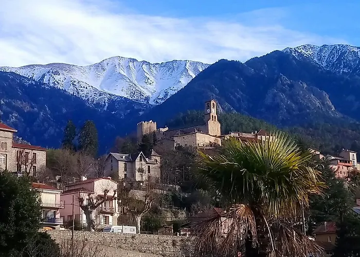 Appartement 48 M2 Avec Jardin Au Rdc Dans Villa A 5 Min A Pied Des Thermes De Vernet-Les-Bains, Location De Samedi A Samedi