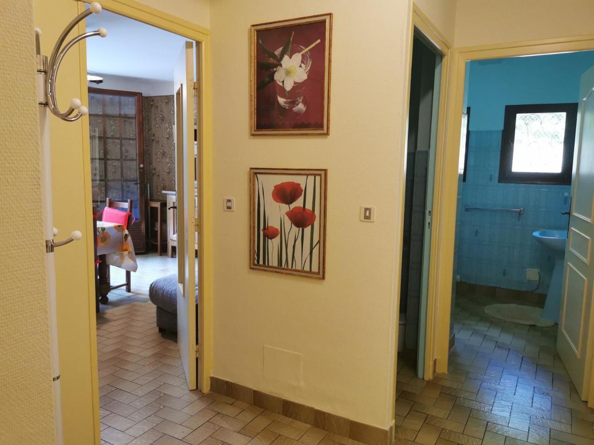 Jardin Thermal: Cozy Near * Vernet-les-Bains