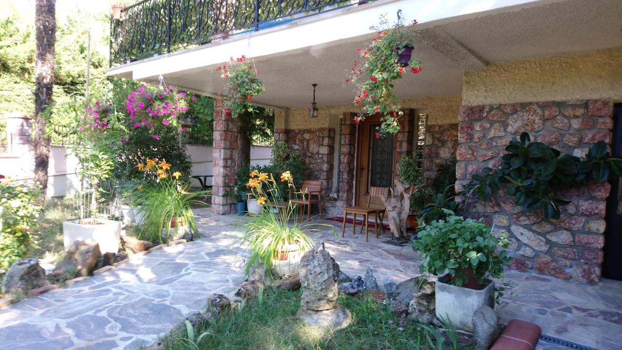 Jardin Thermal: Cozy Near Apartment Vernet-les-Bains