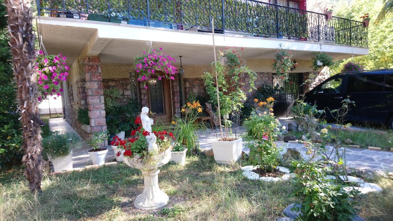 Jardin Thermal: Cozy Near Apartment *